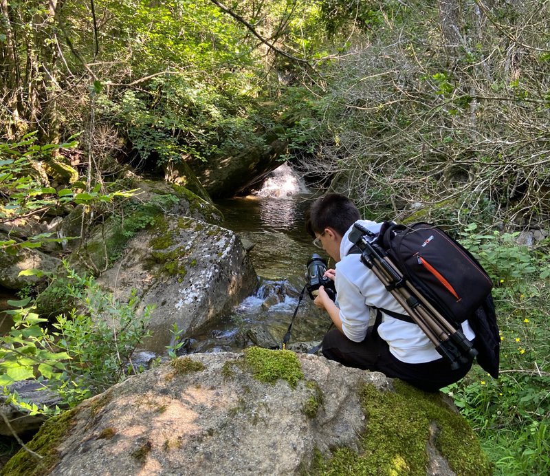 La natura a través del focus d’Arnau Bartrina Luque